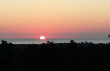 Les bougainvilliers - Foto 22