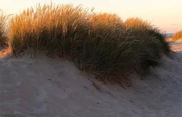 Ferienhaus Thönnes - Foto 35