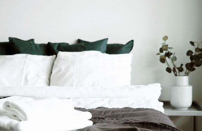 Modern 1BR Apt with Sauna, Balcony & Free Parking - Foto 5