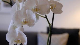 Appartement d'Hôtes Temps de Pause - Photo 3