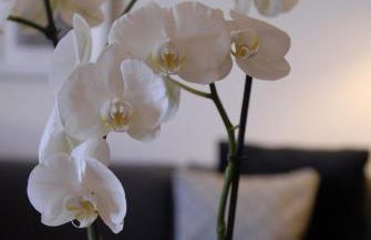 Appartement d'Hôtes Temps de Pause - Photo 3