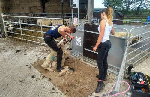 Fentrigan Manor Farm & Holiday Cottages - Foto 70