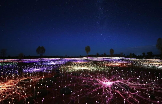 Uluru Sonnenaufgang und Field of Light – Tour in kleiner Gruppe - Foto 1