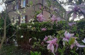 Apartament Magnolia - Centrum - Foto 19