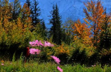 BelleVue centre, wifi, mountain view - Foto 37