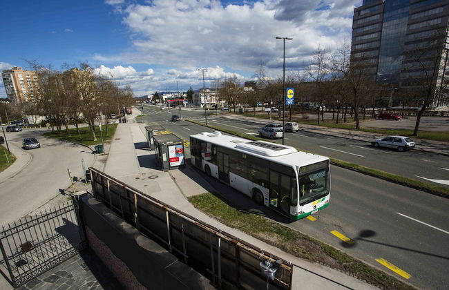 Apartments Villa Stella - Foto 24