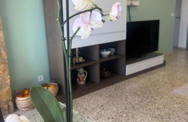 Villa Aleksandra - Foto 50