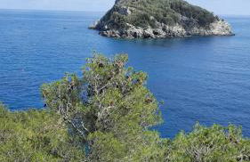 CasAda - Ampio appartamento con vista mare nel cuore di Vado Ligure - Foto 31