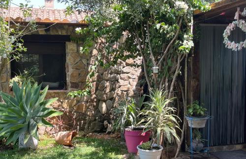 Chalet Valdevaqueros - Gran piscina y 5 min playa - Foto 14