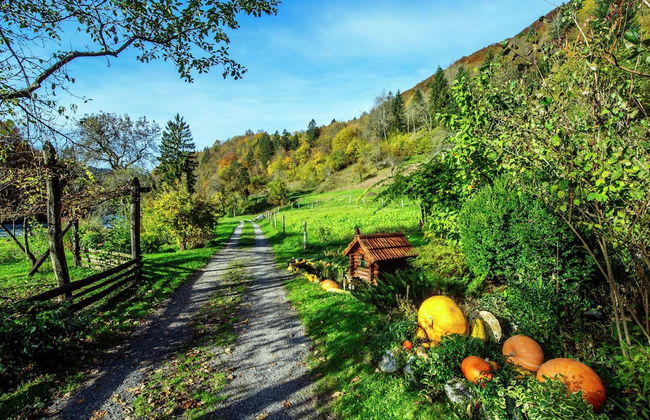 Serene Holiday Home in Dolus With Private Garden - Photo 28