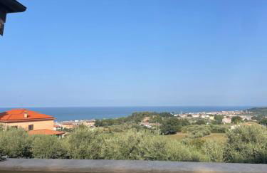 La BouganVillea - Foto 2