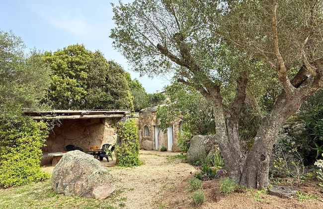 Lu Pastruccialeddu - Foto 60