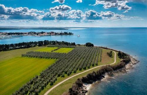 Casa Rinata - Foto 41