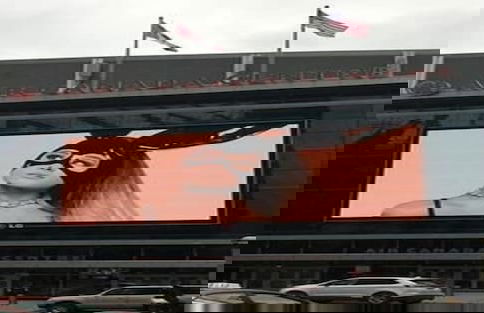 Clean and Cozy Liberty Village - Photo 10