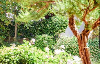 La luna house - Foto 12