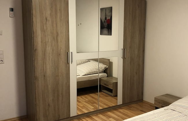 Sahara Falcon - Foto 3