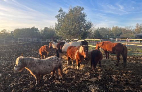 Maison de village, Route des lacs - Foto 29