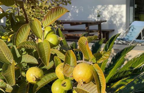 Herdade do Kuanza - Foto 44