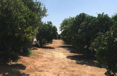 Villa Rocio - Foto 15