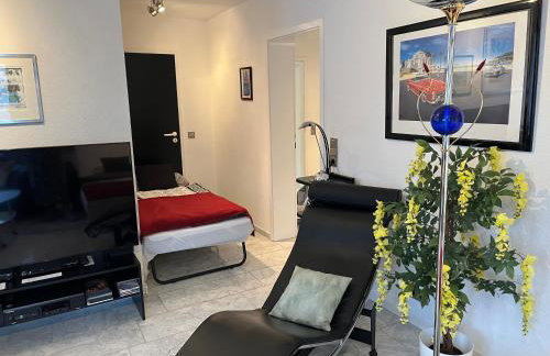 Excl Ferienwohnung im Dreiländereck D-F-CH mit beheiztem kl Pool zum Schwimmen und Massieren - Foto 48