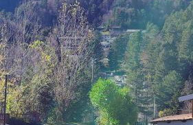 Villa Anna Palumbo Sila - Foto 47