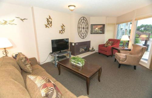 The Grey Gull - Foto 14