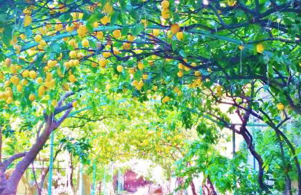 Dépendance La Casetta - Foto 29