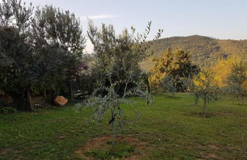 Villa Fior di Lavanda - Foto 28