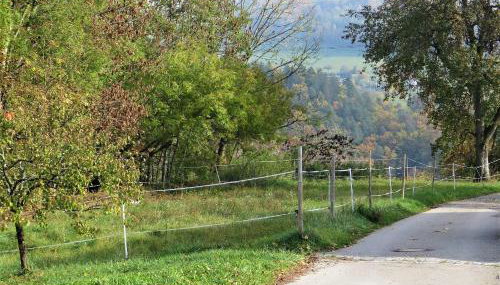 Ferienwohnung Am Bächle - Foto 5