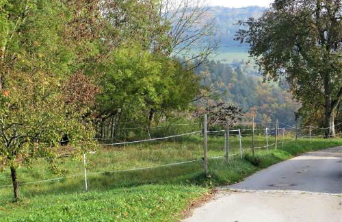 Ferienwohnung Am Bächle - Foto 5
