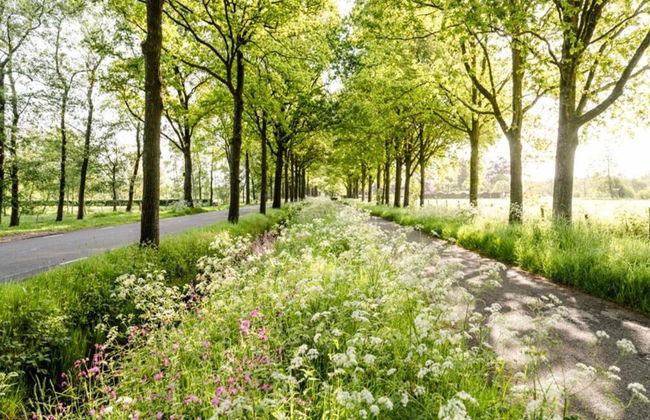 Farmhouse in Friesland Near Frisian Waters - Foto 41