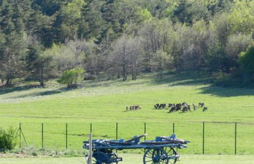 La Bastide du Père Marius - Foto 17