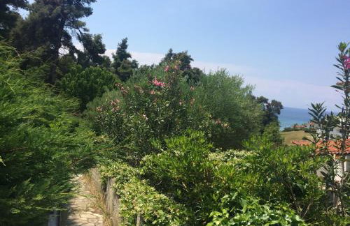 Villa Elani - Foto 12