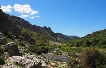 Saluda Alta - Foto 71