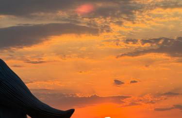 Corali Luxury Beach Apartment - Photo 50