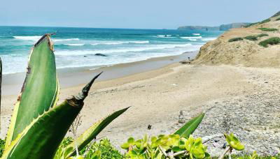 Herdade d'Amoreira Rosmaninho Studio - Foto 2