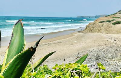 Herdade d'Amoreira Rosmaninho Studio - Foto 2