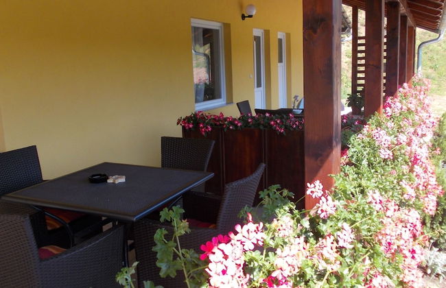 Estate Pavlić - Foto 21