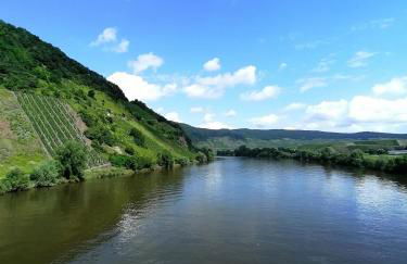Ferienwohnung an der Dhron - Foto 29