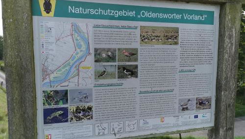 Gästehaus Hemmerdeich-alte Schule - Foto 2