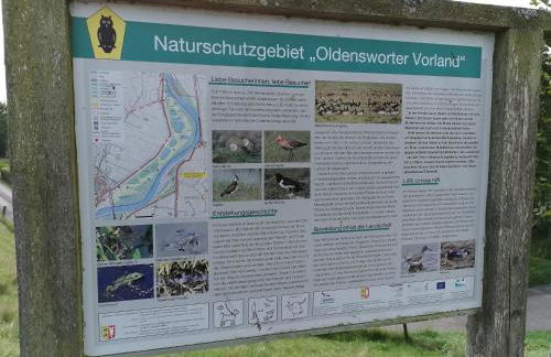 Gästehaus Hemmerdeich-alte Schule - Foto 2