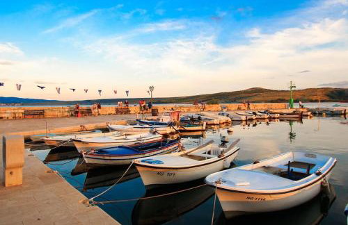 Olive garden Platinum, Posedarje - Photo 79