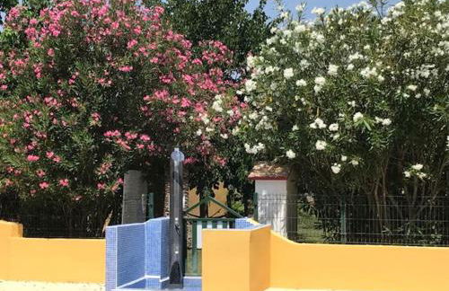 Résidence les Caraibes - Foto 17