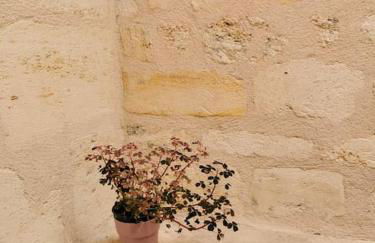 Lumineux appartement sous les toits à Pey Berland - Foto 34