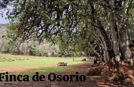 La Herbolera Vv Apartamento - Foto 37