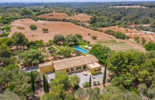 Finca Son Blat - Photo 7