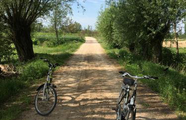 Agroturystyka Kobylnica nad Wisłą - Foto 66