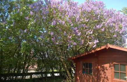 Ferienhaus Nadja - Foto 33