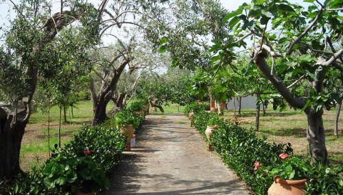 Il Giardino sul Mare - Foto 2