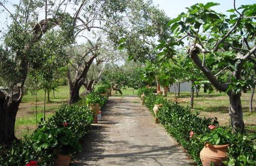 Il Giardino sul Mare - Foto 2